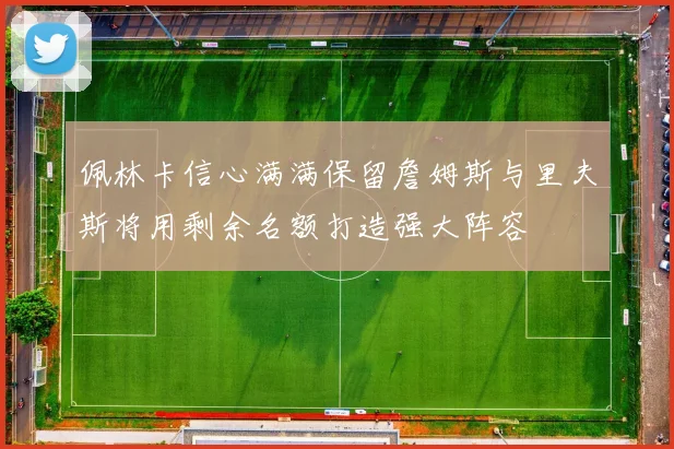 佩林卡信心满满保留詹姆斯与里夫斯将用剩余名额打造强大阵容